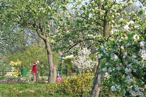 WDP Ansicht Gartenbereich